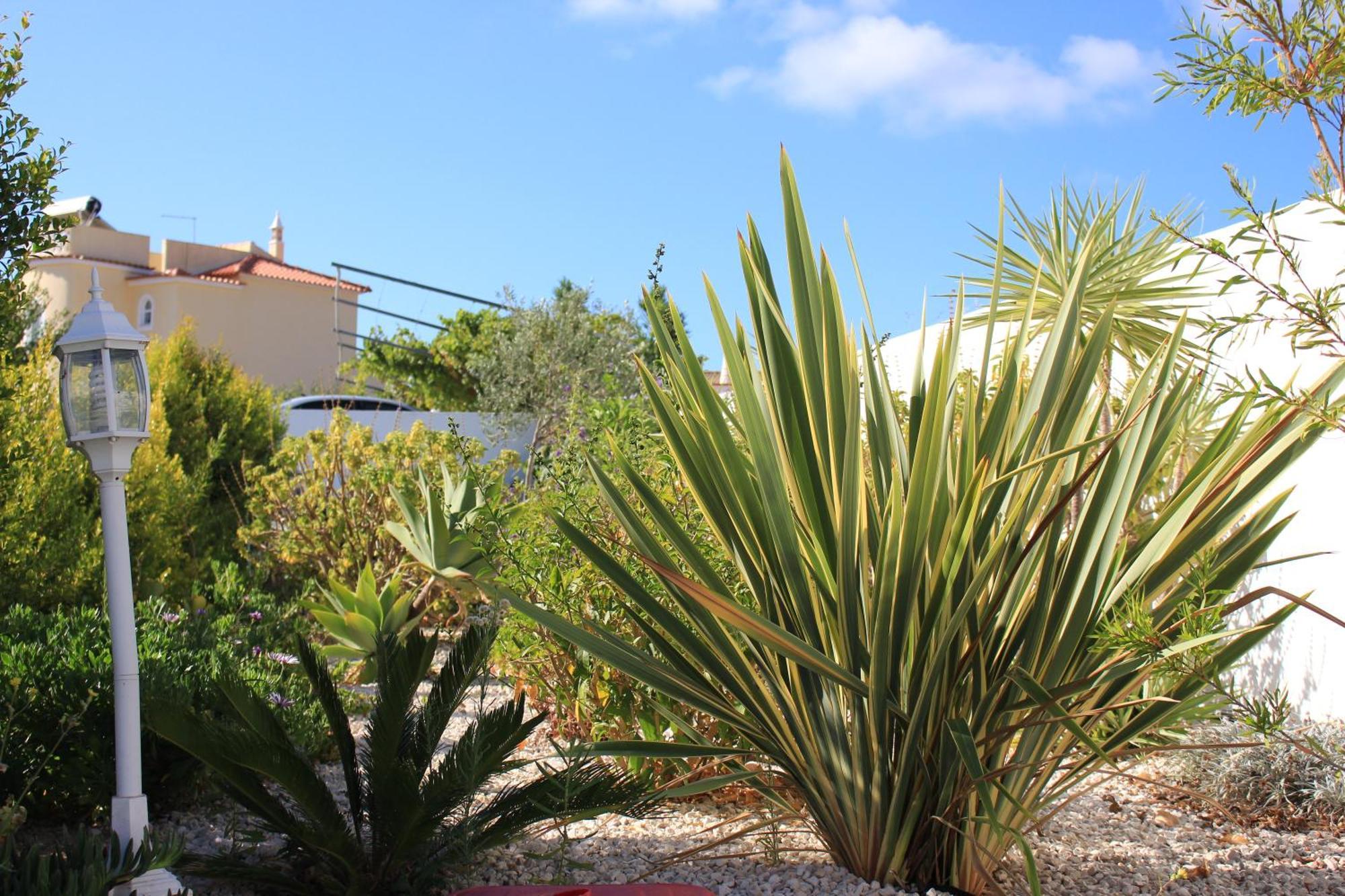 Sunshine Hotel Albufeira Exterior photo